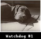 Watchdog #1 (2003)