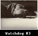 Watchdog #3 (2003)